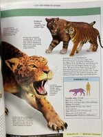 Encyclopedia of Dinosaurs & Prehistoric Life
Book by David Lambert and Elizabeth Wyse